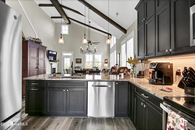 kitchen with plenty of natural light, stainless steel appliances, a sink, and wood finished floors