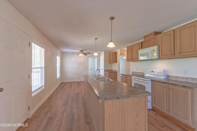 kitchen with white appliances, sink, plenty of natural light, and hanging light fixtures