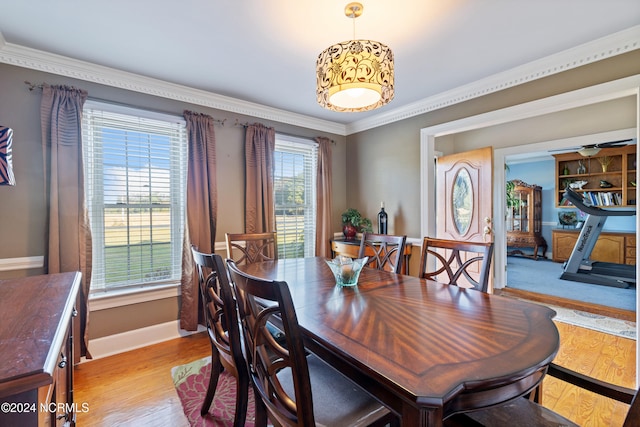 dining space with a healthy amount of sunlight, light wood-type flooring, and crown molding