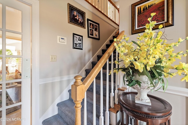 staircase with wood-type flooring