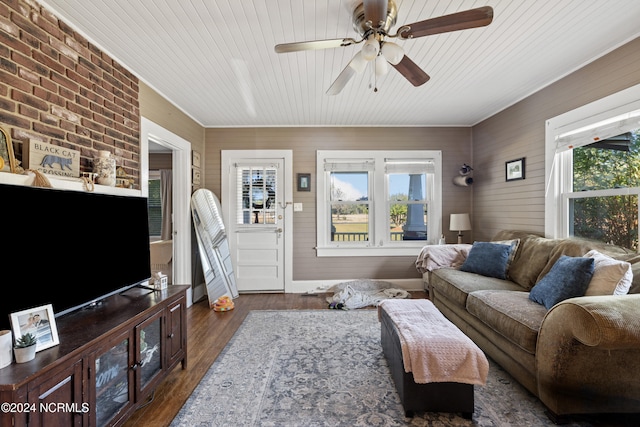 living room with dark hardwood / wood-style flooring, ceiling fan, a healthy amount of sunlight, and wood ceiling