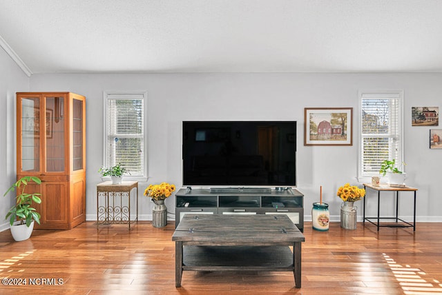 living room with crown molding, light wood-type flooring, and plenty of natural light