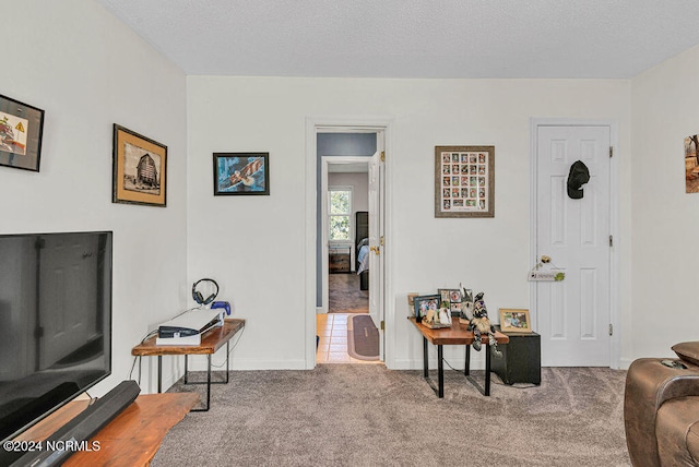 living room featuring light colored carpet