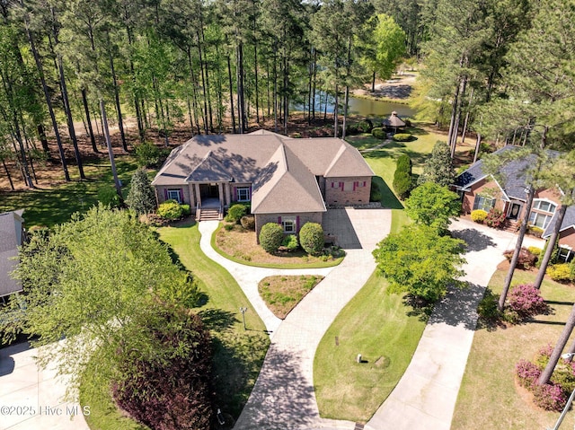 aerial view