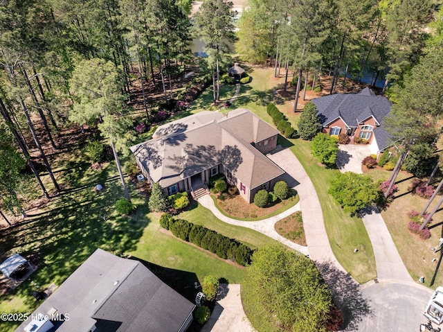 aerial view