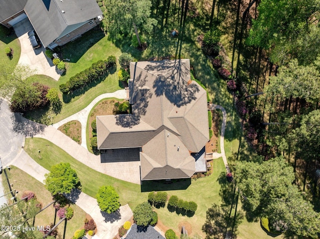 bird's eye view