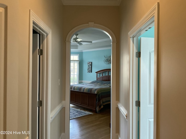 hallway featuring crown molding and dark hardwood / wood-style flooring