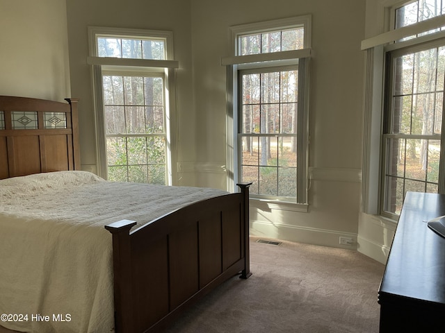 bedroom featuring multiple windows and carpet flooring