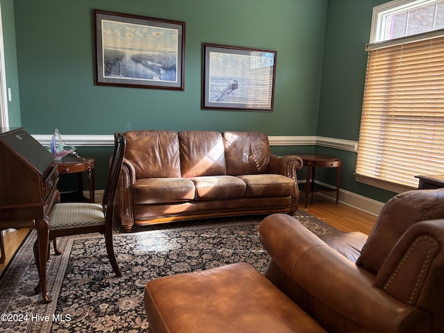 living room featuring hardwood / wood-style flooring