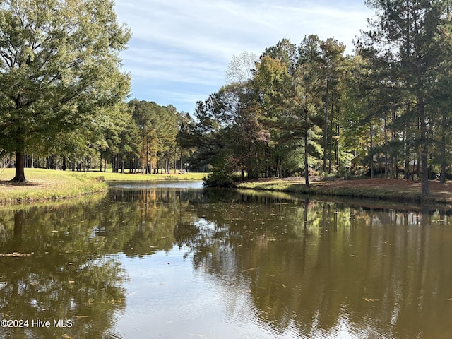 view of water feature