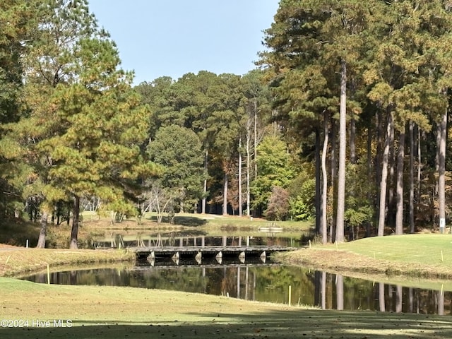 view of community featuring a water view and a yard