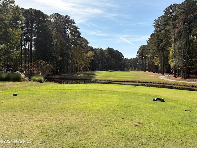 view of home's community featuring a yard