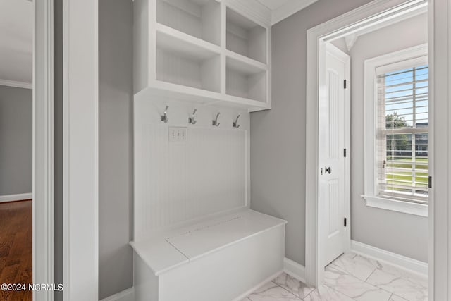 mudroom featuring plenty of natural light