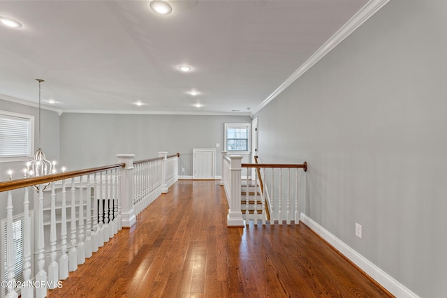 corridor with dark wood-type flooring, ornamental molding, and an inviting chandelier