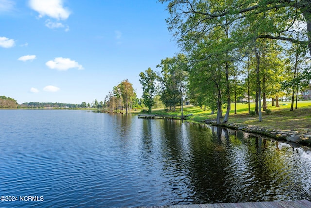 property view of water