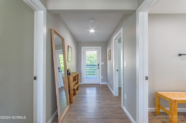 entryway with hardwood / wood-style floors