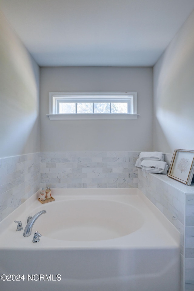 bathroom featuring a healthy amount of sunlight and a washtub