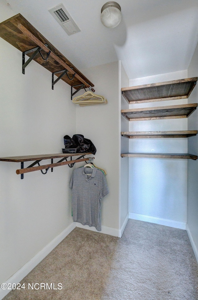 walk in closet featuring carpet floors