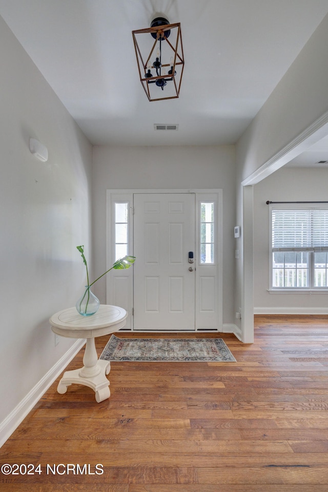 entrance foyer featuring a wealth of natural light and light hardwood / wood-style floors