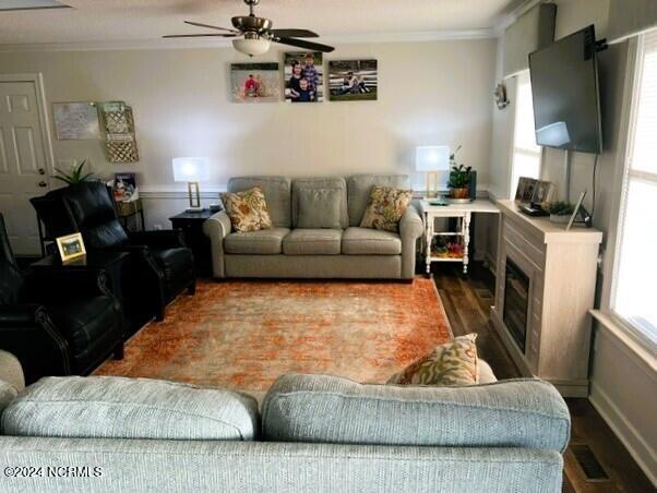 living room featuring ceiling fan, dark hardwood / wood-style flooring, and ornamental molding