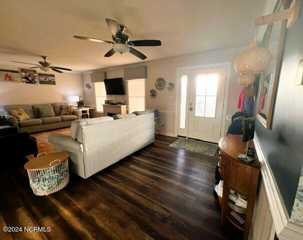 living room with dark hardwood / wood-style floors, ceiling fan, and crown molding