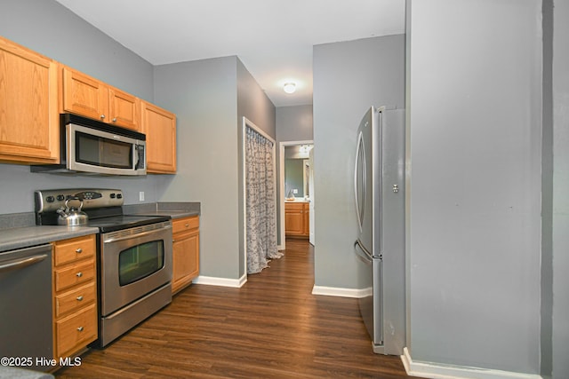 kitchen with stainless steel appliances and dark hardwood / wood-style floors