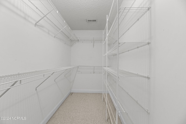 spacious closet with light carpet