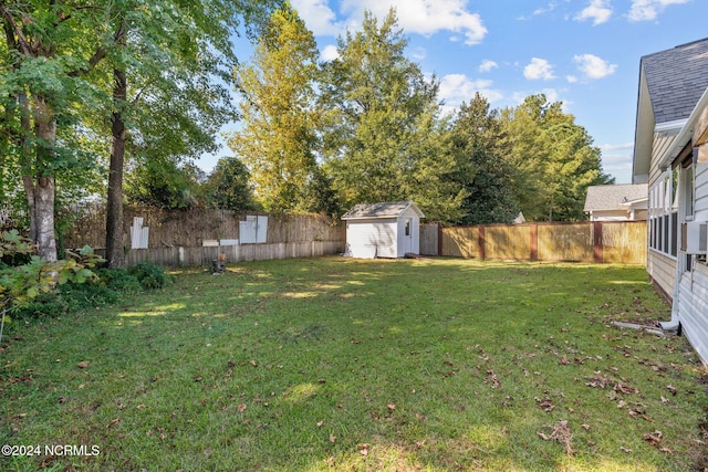 view of yard with a storage shed