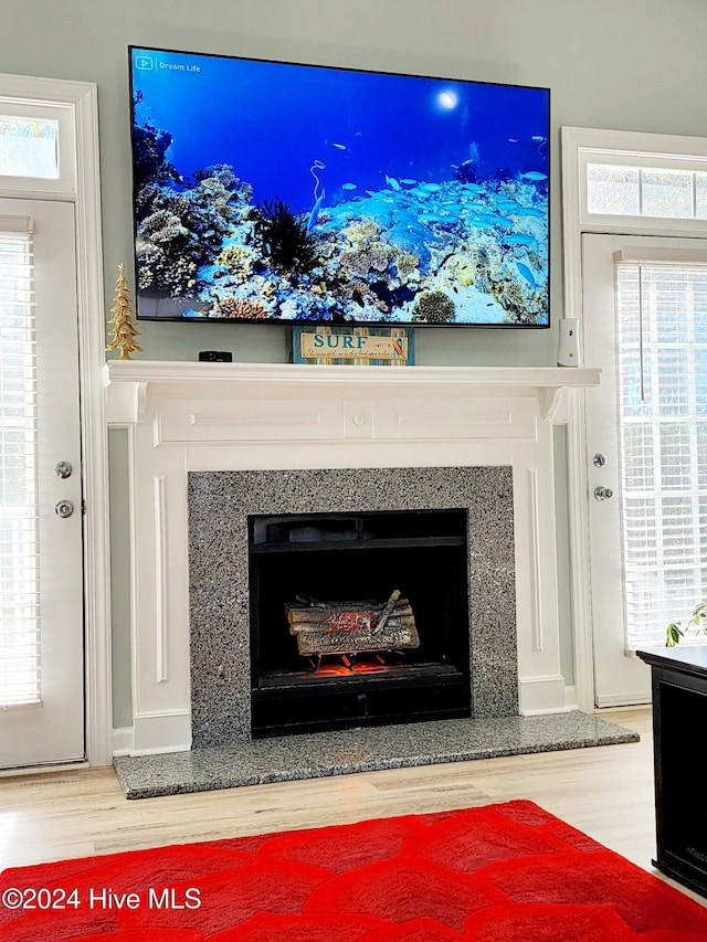 room details featuring a high end fireplace and wood-type flooring