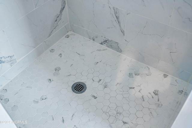 interior details with walk in shower