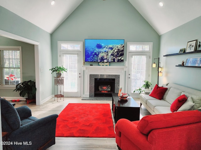 living room with plenty of natural light, a fireplace, and light hardwood / wood-style flooring