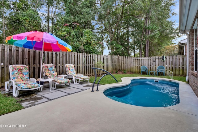 view of pool with a patio area