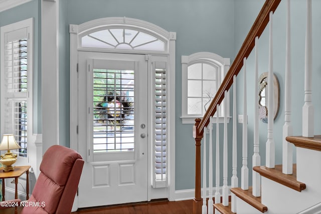 foyer entrance with dark wood-type flooring