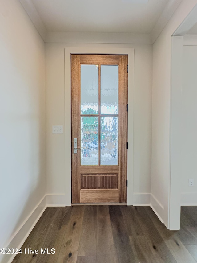 entryway with dark hardwood / wood-style flooring