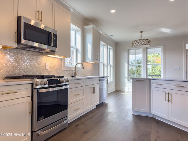 kitchen featuring pendant lighting, sink, dark hardwood / wood-style flooring, white cabinetry, and stainless steel appliances