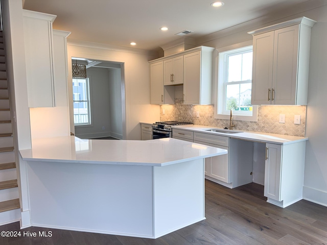 kitchen with stainless steel gas stove, decorative backsplash, dark wood-style flooring, light countertops, and a sink