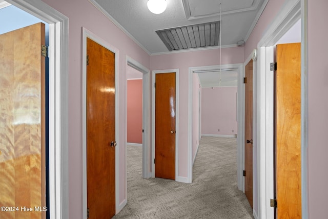 hall featuring light carpet, crown molding, and a textured ceiling