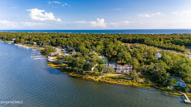 bird's eye view featuring a water view and a view of trees