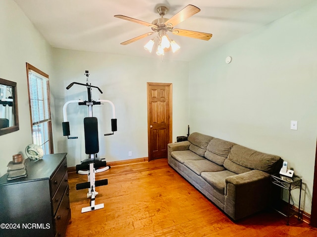 exercise area featuring ceiling fan and hardwood / wood-style floors