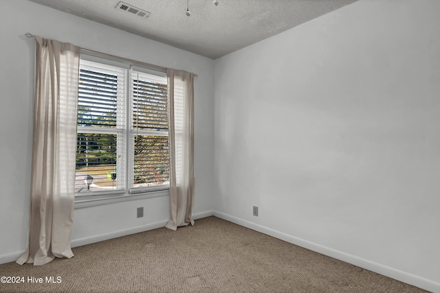 spare room with light carpet, a textured ceiling, visible vents, and a healthy amount of sunlight