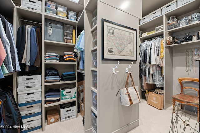 spacious closet featuring carpet flooring