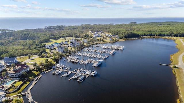 aerial view with a water view