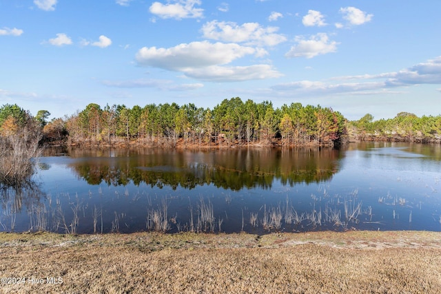 7319 Thurgood Rd, Wilmington, NC 28411 - water view with a heavily wooded area