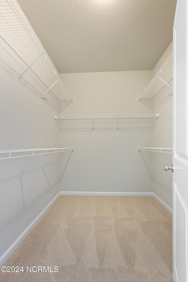 walk in closet featuring carpet flooring