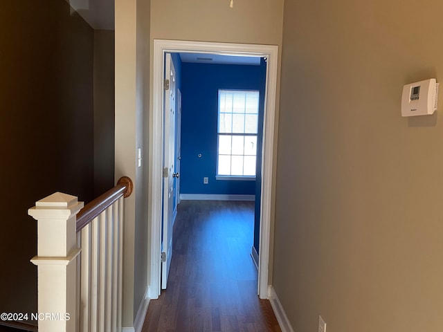 hall featuring dark wood-type flooring