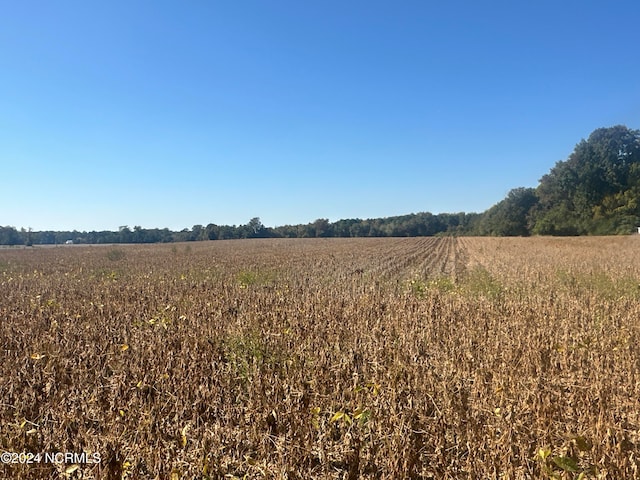 view of landscape with a rural view