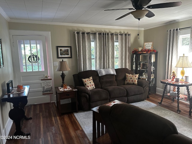 living room featuring a healthy amount of sunlight, ornamental molding, and dark hardwood / wood-style floors