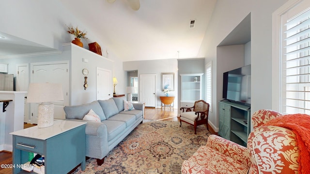 living room with hardwood / wood-style flooring and high vaulted ceiling