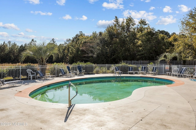 view of swimming pool featuring a patio