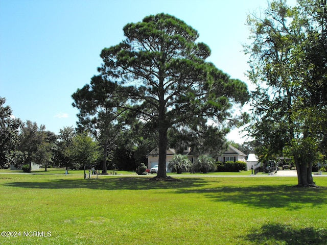 view of home's community with a lawn